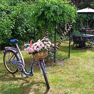  Albergue Retro & Garden